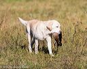 20160924-mh2-0417