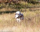20160924-mh2-0447