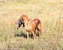 20160924-mh2-0514