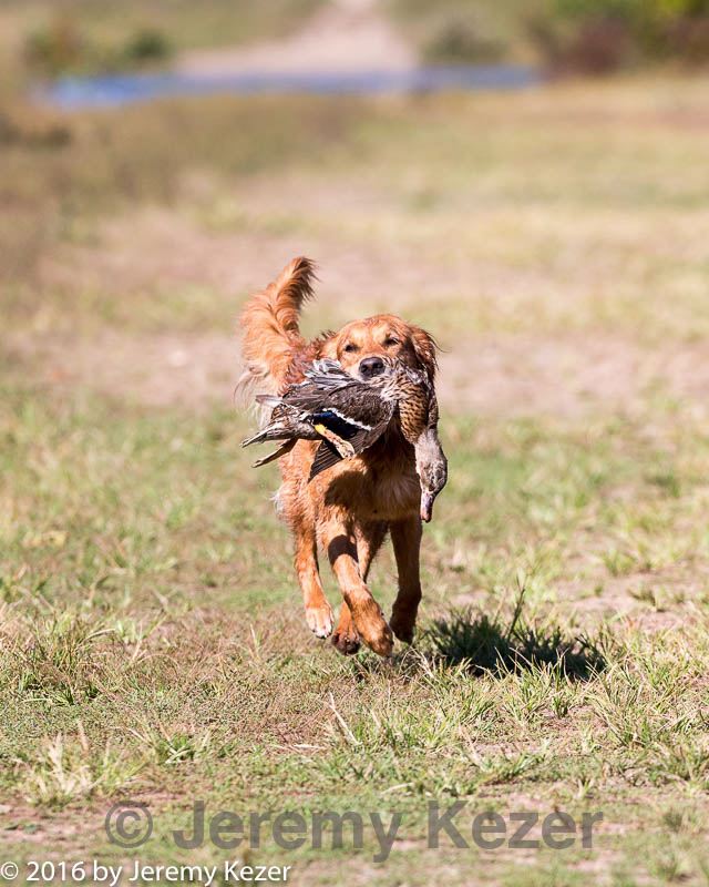 20160924-mh2-0214.jpg