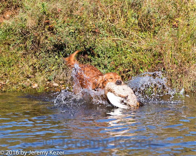 20160924-mh2-0520.jpg