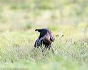 20160924-shl-0010
