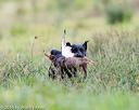 20160924-shl-0015