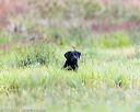 20160924-shl-0020