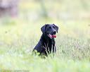 20160924-shl-0022