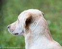 20160924-shl-0026