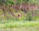 20160924-shl-0096