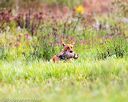 20160924-shl-0098