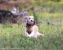 20160924-shl-0120