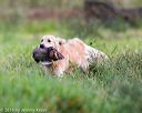 20160924-shl-0124