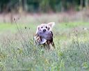 20160924-shl-0142