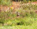 20160924-shl-0154