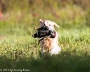 20160924-shl-0163