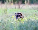 20160924-shl-0187