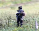 20160924-shl-0294