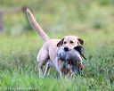 20160924-shl-0375