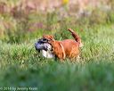 20160924-shl-0388