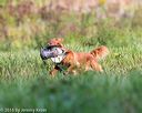 20160924-shl-0389