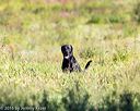 20160924-shl-0449
