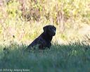 20160924-shl-0535