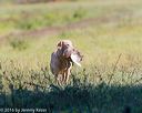 20160924-shl-0602