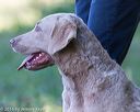 20160924-shl-0621