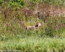 20160924-shl-0623