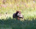 20160924-shl-0677