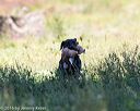 20160924-shl-0695