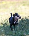 20160924-shl-0697