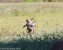 20160924-shl-0740