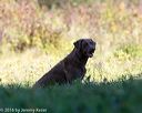 20160924-shl-0767