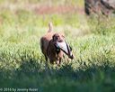 20160924-shl-0778