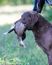20160924-shl-0831