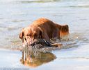20160924-shw-0095
