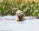 20160924-shw-0371
