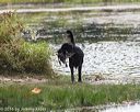 20160924-shw-0504