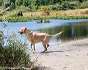 20160924-shw-0559