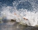 20160924-shw-0565