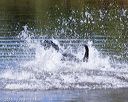 20160924-shw-0928