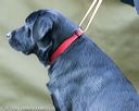 20160925-jhl-0097