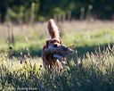 20160925-jhl-0159