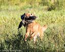 20160925-jhl-0166