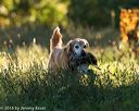 20160925-jhl-0174
