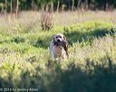 20160925-jhl-0272