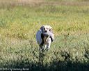 20160925-jhl-0555