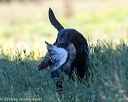 20160925-jhl-0599