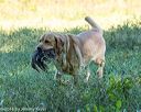 20160925-jhl-0770