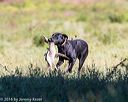 20160925-jhl-0794