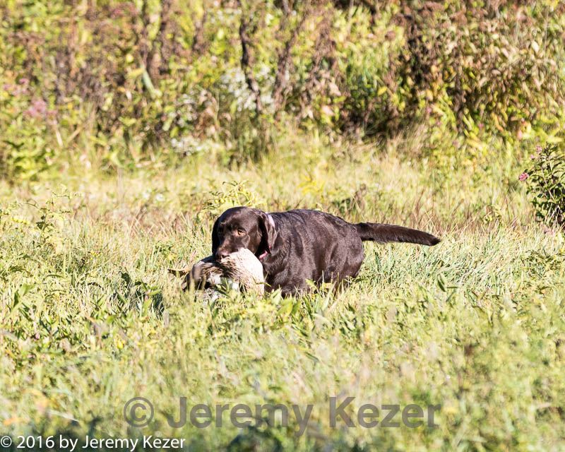 20160925-jhl-0141.jpg
